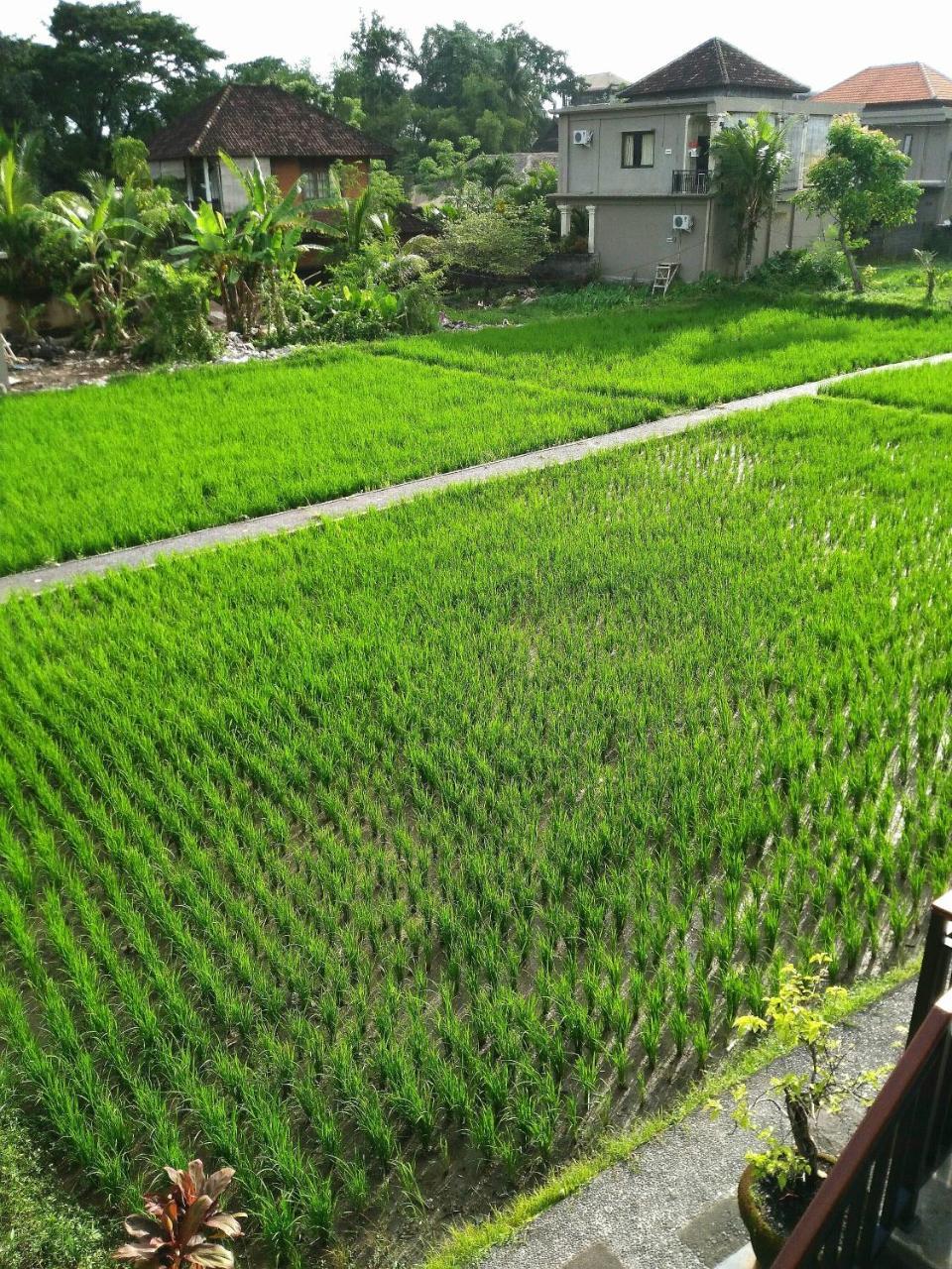 Villa Peteka Ubud  Luaran gambar